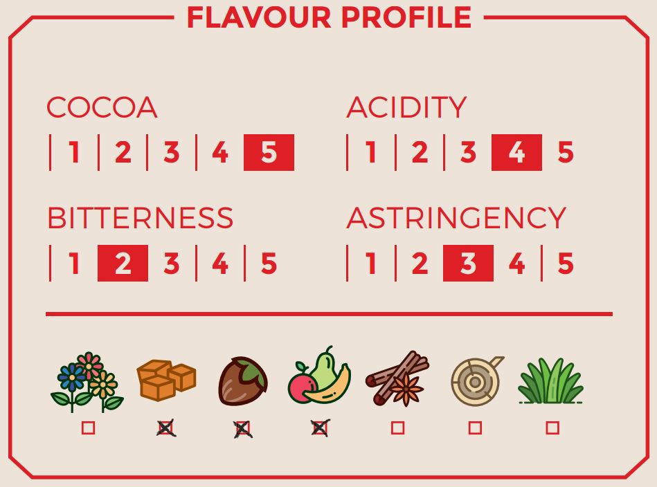 Fèves de cacao biologiques Belize Peini