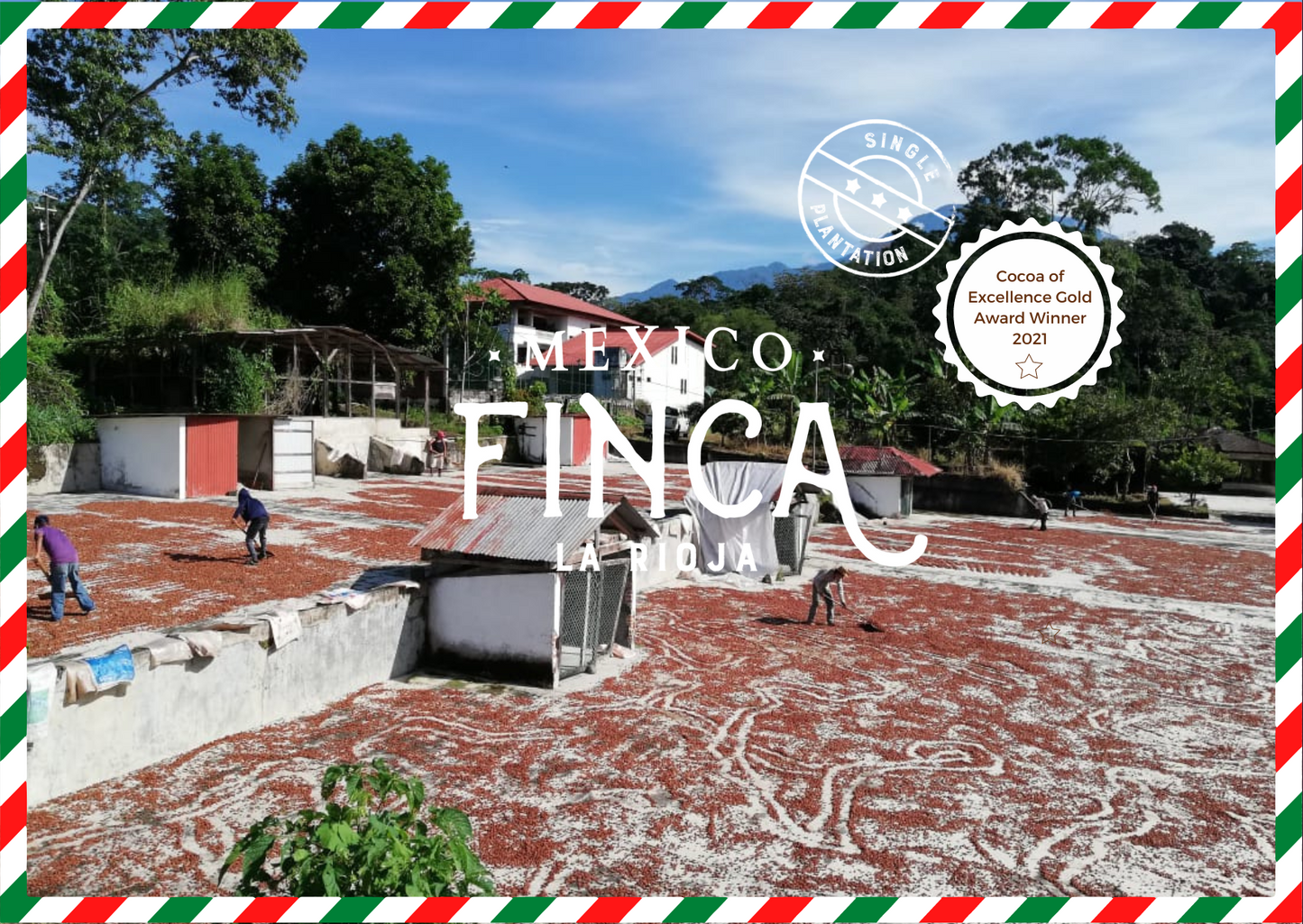 Fèves de cacao biologiques Belize Peini