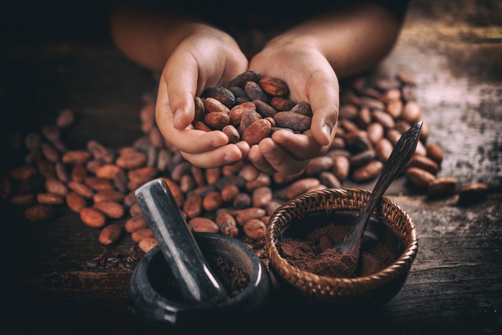 Organic Peruvian Criollo Cocoa Beans Wholesale