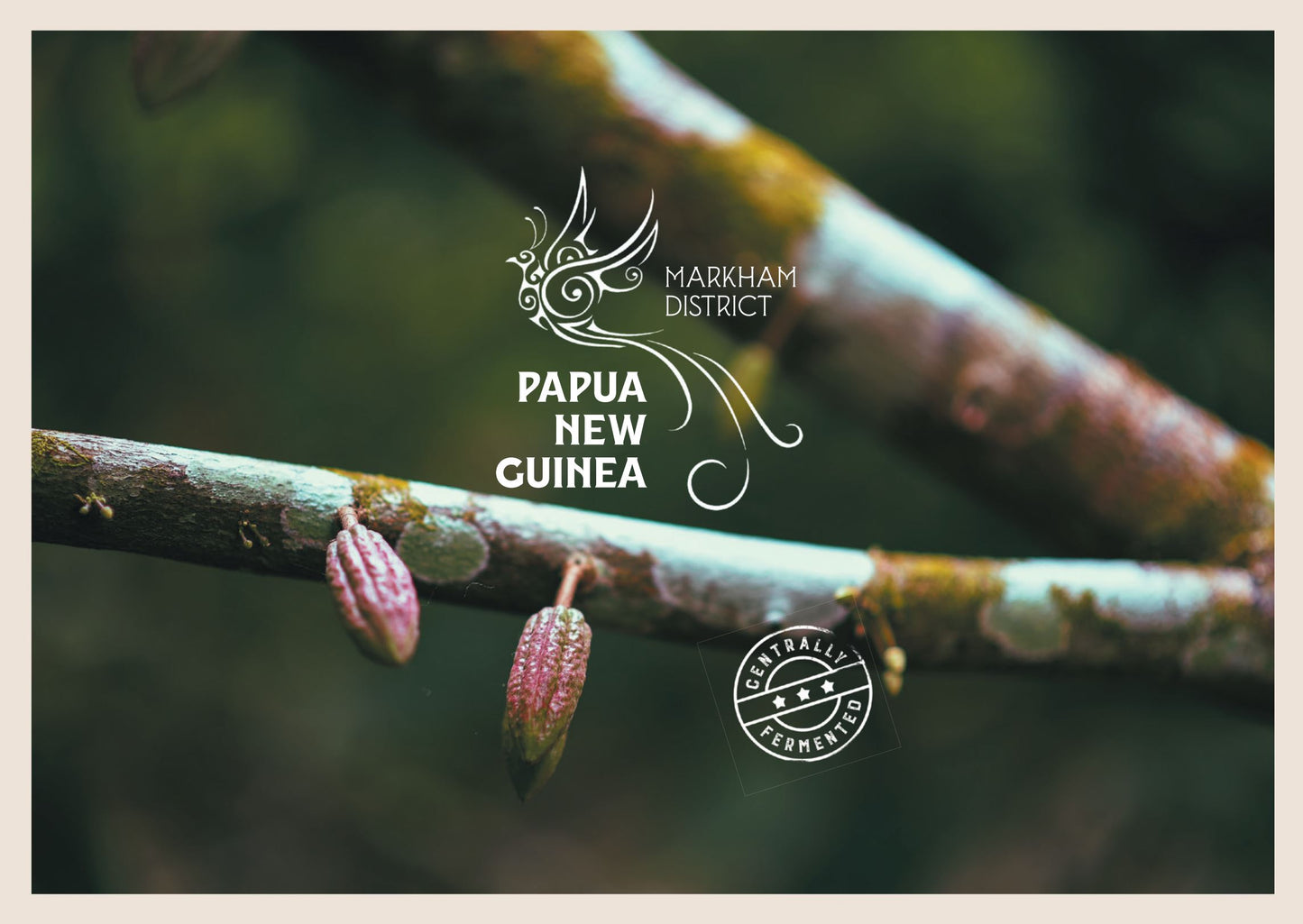 Papua Nueva Guinea Markham Cacao Granos De Cacao 1kg