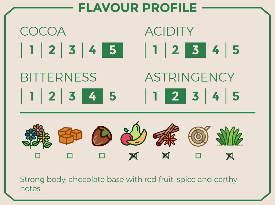 Cacao en Grano Santo Tomé 1kg