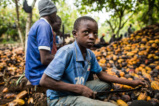 Has the cocoa slave trade improved?