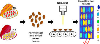 Using Near-Infrared (NIR) Technology