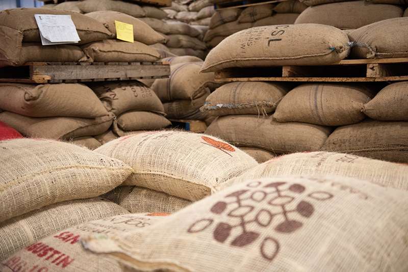 Organic Peruvian Criollo Cocoa Beans Wholesale