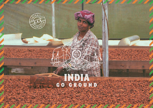 India GoGround Cacao en Granos de Cacao Orgánico 1kg 