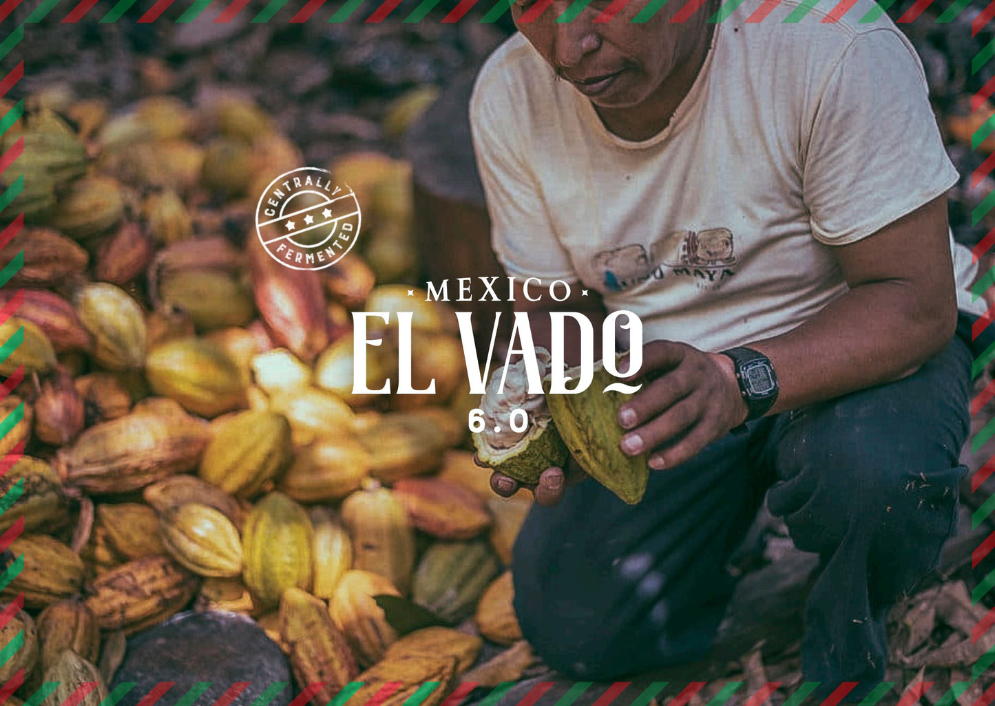 Mexico Soconusco El Vado Lote V 6.0 Cacao Cocoa Beans 1kg