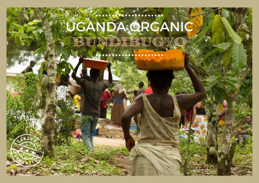 Uganda Bundibugyo Organic Cacao Cocoa Beans 1kg