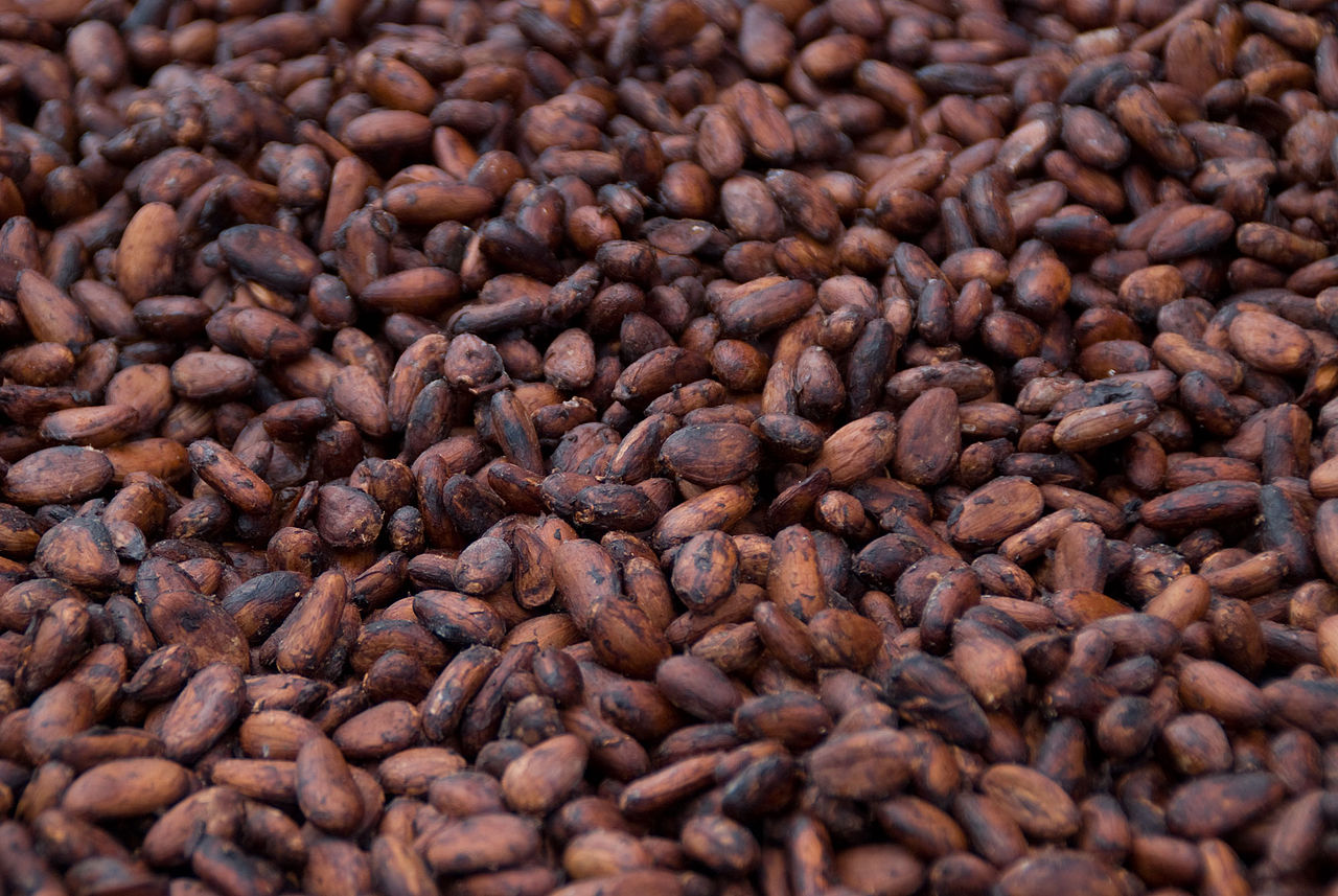 Granos de cacao orgánicos de Uganda