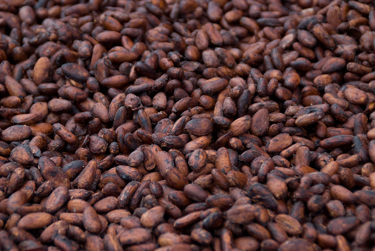 Ecuador A.S.S.S. Cacao Cocoa Beans 1kg