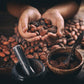 Organic Peruvian Criollo Cocoa Beans Wholesale