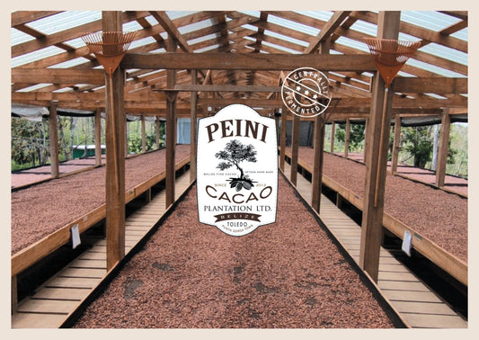 Belice Peini Cacao en Granos de Cacao Orgánico 1kg 