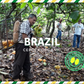 Brasil CEPOTX Granos De Cacao 