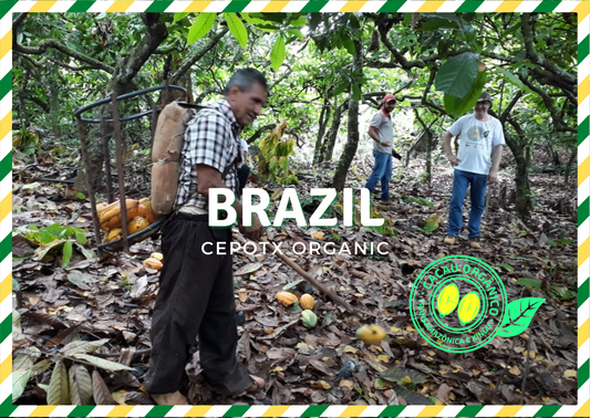 Brasil CEPOTX Cacao Cacao en Grano 1kg 