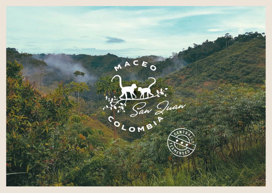 Colombia Maceo San Juan Cacao Cacao en Grano 1kg