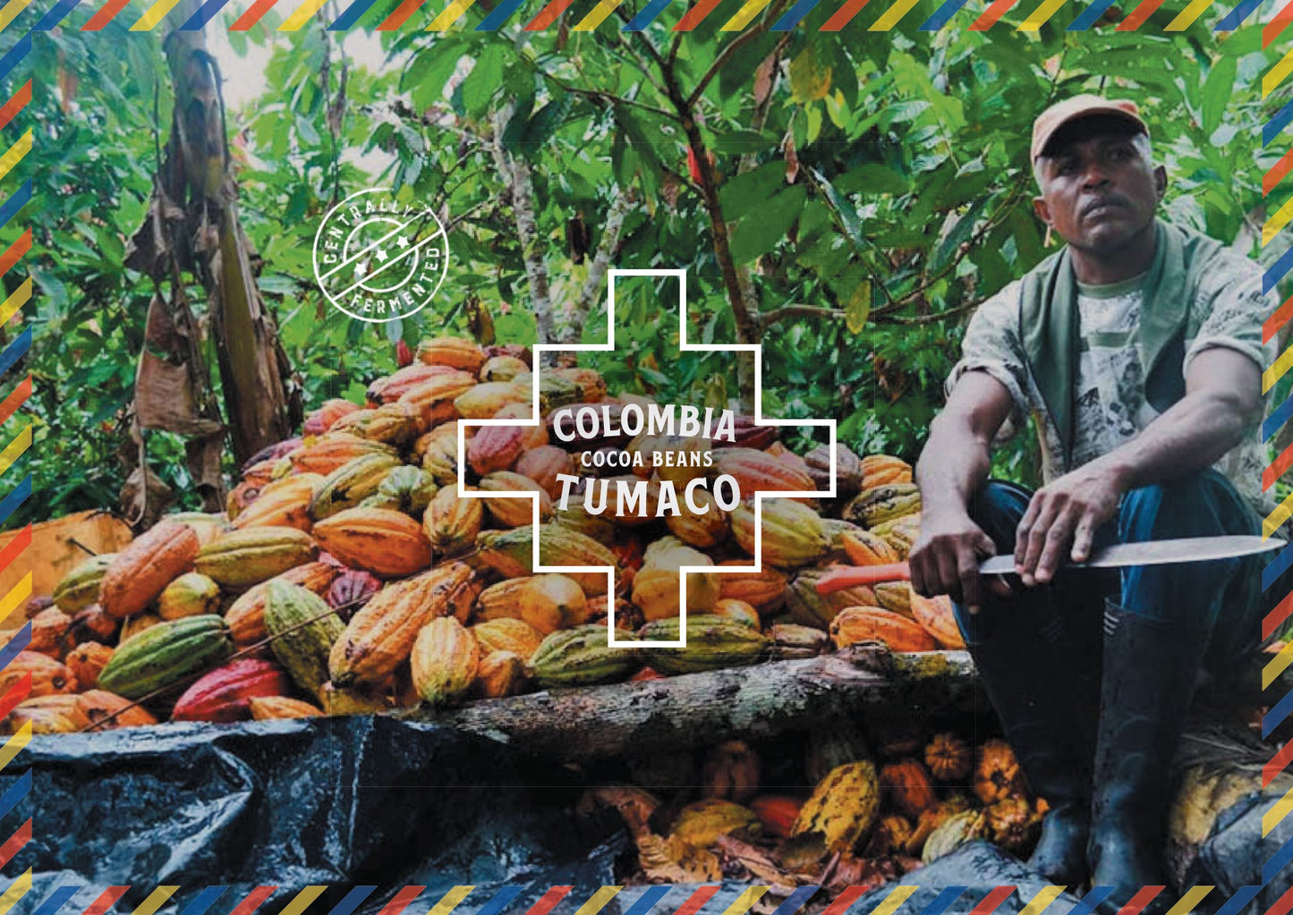 Colombia Tumaco Granos De Cacao