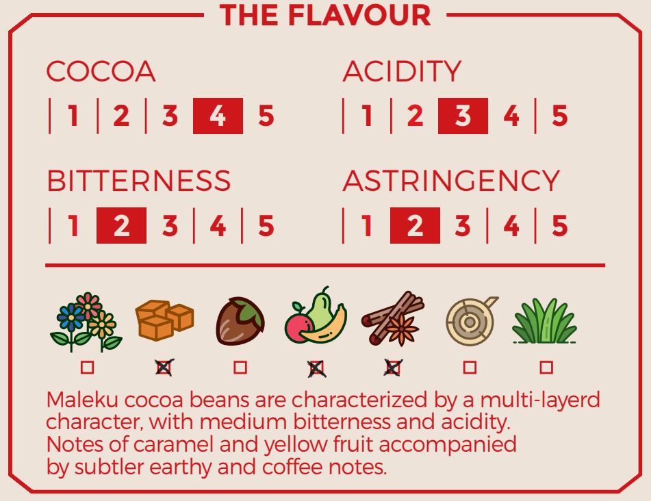 Fèves de cacao Nahua Maleku du Costa Rica