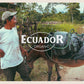 Fèves de cacao bio d'Equateur