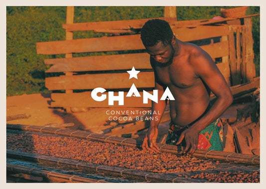 Granos de cacao convencionales de Ghana