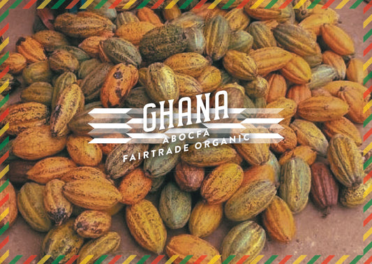 Granos de cacao orgánicos ABOCFA de Ghana (Fairtrade)