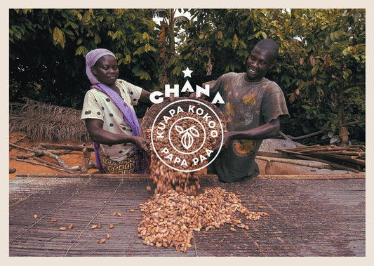 Granos de cacao Kuapa Kokoo de Ghana