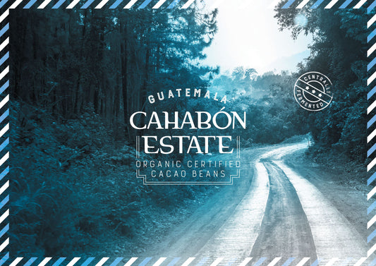 Guatemala FEDECOVERA Cahabón Cacao en Grano Orgánico 1kg