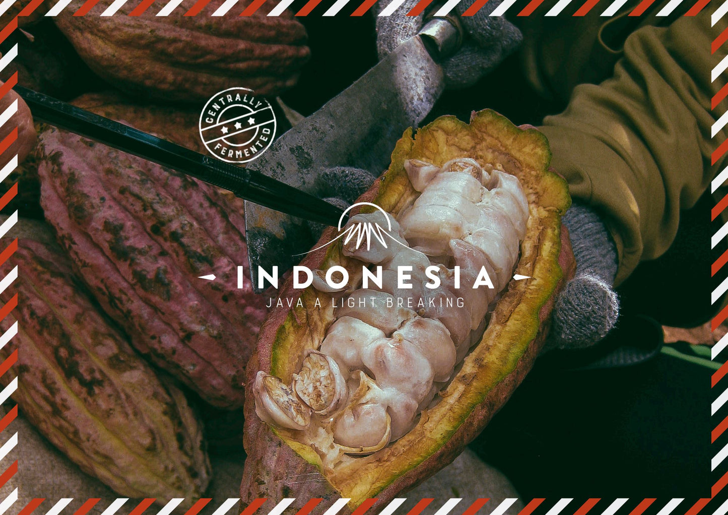 Indonesia Java A 40% granos de cacao ligeros que se rompen