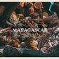 Madagascar Mava Préparation Fèves De Cacao