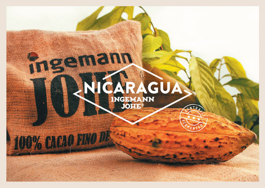 Nicaragua Ingemann Johe Cacao Cacao en Grano 1kg