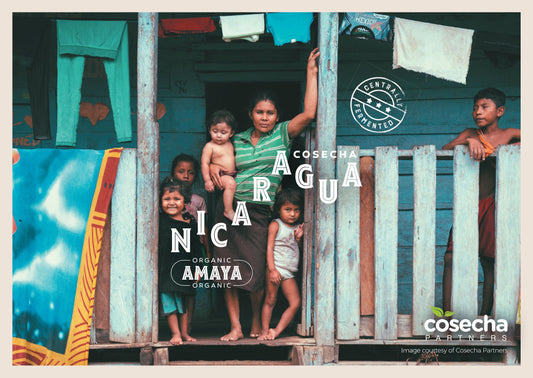 Nicaragua Cosecha Partners Amaya Cacao Cacao en Grano Orgánico 1kg
