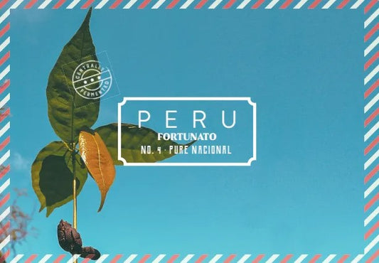 Peru Marañón Fortunato No.4 Cacao Puro Nacional Cacao en Grano 1kg