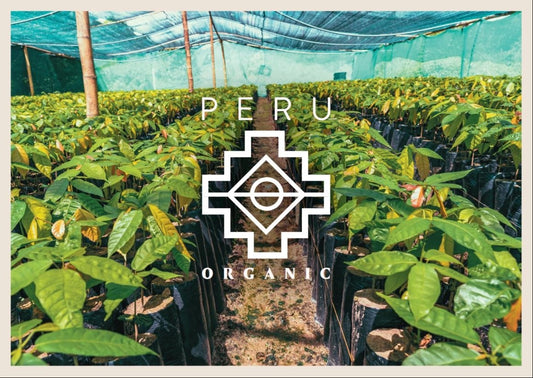 Granos de Cacao Orgánicos de Perú