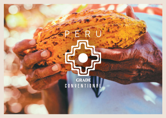 Granos de Cacao Convencionales de Perú