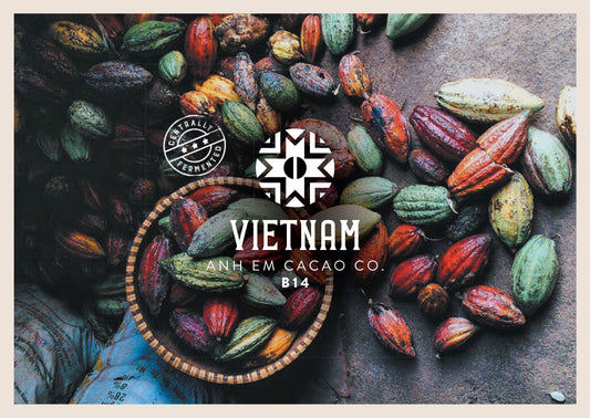 Vietnam Anh Em B14 Granos De Cacao