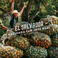 El Salvador Hacienda San José Real de la Carrera Granos de Cacao
