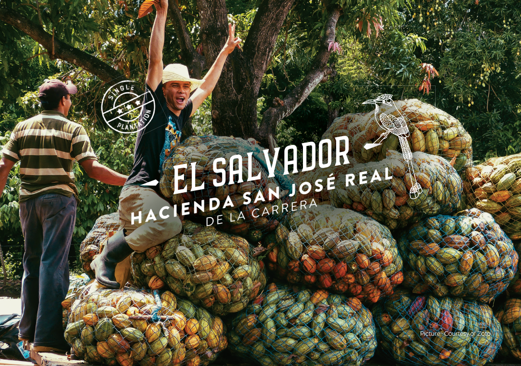 El Salvador Hacienda San José Real Carrera Cacao Cocoa Beans 1kg