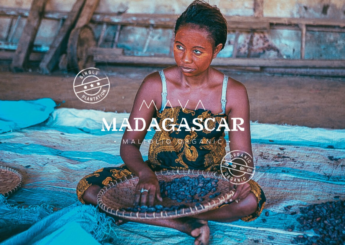 Granos de cacao orgánicos Madagascar Mava Maliolio